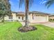 Landscaped front yard with palm tree and brick paver driveway at 141 Marabella Loop, Poinciana, FL 34759