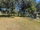 Large backyard with playset and mature trees at 824 San Pedro Ct, Kissimmee, FL 34758