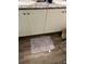 Bathroom with double vanity, granite countertop, and wood-look flooring at 106 Orchid Ct, Kissimmee, FL 34759