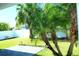 Backyard with patio and palm trees at 1569 Thetford Cir, Orlando, FL 32824