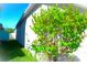 Landscaped side yard with lush green plants at 1569 Thetford Cir, Orlando, FL 32824