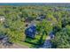 Aerial view of house and surrounding trees at 729 Main Street, Windermere, FL 34786