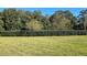 Landscaped backyard with lush green lawn and hedge at 2914 Scarlett Dr, Saint Cloud, FL 34772