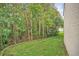 Wooded backyard providing a natural, private setting at 1233 Aquila Loop, Celebration, FL 34747