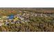 Aerial view of community, showcasing home location near nature at 1287 Glendora Rd, Kissimmee, FL 34759