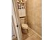 Small bathroom with toilet and overhead cabinet at 2606 Royal Fern Pl, Kissimmee, FL 34758