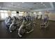 State-of-the-art fitness center with various exercise equipment at 9182 Sonoma Coast Dr, Winter Garden, FL 34787