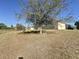 Large backyard with mature tree and open grassy area at 102 Lake Tracy Ct, Haines City, FL 33844