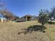 House backyard view with grassy area and trees at 102 Lake Tracy Ct, Haines City, FL 33844
