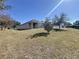 House backyard view with grassy area and trees at 102 Lake Tracy Ct, Haines City, FL 33844