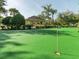 Enjoy a relaxing game of mini golf in the community at 2778 Almaton Loop # 303, Kissimmee, FL 34747