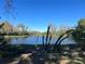 Landscaped backyard with a pond and a chain link fence at 1493 Park Dr, Casselberry, FL 32707