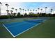 Multiple blue pickleball courts in a community setting at 504 Ridge View Dr, Davenport, FL 33837