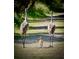 Two sandhill cranes and a chick walking on a path at 336 Alicante Ct, Davenport, FL 33837