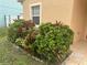 Landscaped front yard with lush greenery at 123 Spoonbill Ct, Poinciana, FL 34759