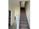 Carpeted staircase with white railing leading to the second floor at 1396 Peaceful Nature Way # 1396, Clermont, FL 34714