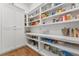 Large walk-in pantry offering extensive shelving for storage at 3167 Whisper Wind Dr, St Cloud, FL 34771