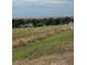 Aerial view showing houses and a field of birds at 3900 County Road 557A, Polk City, FL 33868