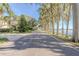 Beautiful tree-lined road leading to waterfront homes at 1465 Riviera Dr, Kissimmee, FL 34744