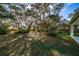 Backyard features a large, grassy area shaded by mature oak trees with Spanish moss at 2828 Sequoyah Dr, Haines City, FL 33844