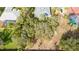 Overgrown lot view, showing mature trees and unkempt grass at 2828 Sequoyah Dr, Haines City, FL 33844