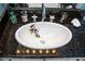 Oval sink with Mickey and Minnie Mouse design at 453 Water St, Kissimmee, FL 34747