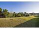 Large grassy backyard with mature trees and open space at 2937 Hooded Crane Cv, Harmony, FL 34773