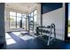 Fitness area with dumbbells, kettlebells, and heavy bag at 2937 Hooded Crane Cv, Harmony, FL 34773