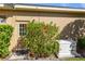 Generac generator and hibiscus plants near back door at 1280 Osprey Landing Dr, Lakeland, FL 33813