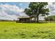 Small barn nestled under a large tree in a grassy field at 6225, 6229 Deen Still Rd, Lakeland, FL 33809