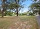 Large, open backyard with mature trees and grassy area at 6106 Pine Nw Ave, Lakeland, FL 33810