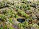 Aerial view showing property's large lot and pond at 10820 Sw 31St Way, Webster, FL 33597