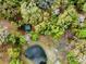 Aerial view of the property with a pond and shed at 10820 Sw 31St Way, Webster, FL 33597