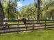 Two Texas Longhorns in a pasture at 10820 Sw 31St Way, Webster, FL 33597