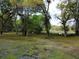 Open pasture with cattle and trees at 10820 Sw 31St Way, Webster, FL 33597
