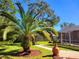 Landscaped backyard with palm trees and a paved walkway at 6 Southern Trace Blvd, Ormond Beach, FL 32174