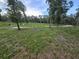 Vacant lot with mature trees and a grassy area at 10566 Cr 671, Bushnell, FL 33513