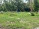 Overgrown vacant land with some debris at 10566 Cr 671, Bushnell, FL 33513