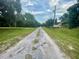 Gravel driveway lined with grass and trees at 13659 Sw 115Th Pl, Dunnellon, FL 34432