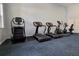 Modern fitness center with cardio and weight equipment at 1126 Whitewater Bay Dr, Groveland, FL 34736