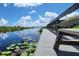 Serene waterfront view with a dock and lily pads at 1126 Whitewater Bay Dr, Groveland, FL 34736