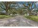 Tree-lined street showcasing homes in a residential community at 6318 Cedar Ln, Lakeland, FL 33813
