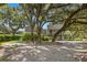 Modern home nestled under large shade trees at 6318 Cedar Ln, Lakeland, FL 33813
