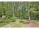 Wooded backyard with sheds offering ample storage at 3603 Cr 626N, Bushnell, FL 33513