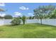 Fenced backyard with green lawn and mature trees at 1801 Stargazer Trl, Kissimmee, FL 34758