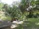 Landscaped backyard with lush greenery and palm trees at 1060 E Tee Cir, Bartow, FL 33830