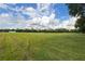 Open pasture land with horses grazing under a partly cloudy sky at 1440 Duff Rd, Lakeland, FL 33810