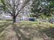 Spacious backyard with large tree and detached shed at 1938 E Fern Rd, Lakeland, FL 33801