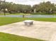 Outdoor ping pong table in a community park setting at 3366 Cat Brier Trl, Harmony, FL 34773