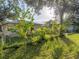 Large backyard with chain link fence, mature trees, and young saplings at 716 W 14Th St, Lakeland, FL 33805